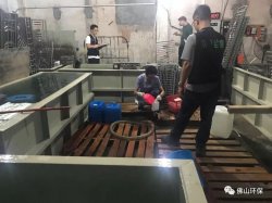 佛山三級環(huán)保加公安部門聯(lián)合執(zhí)法查處南海2家污企，七人被帶走調查
